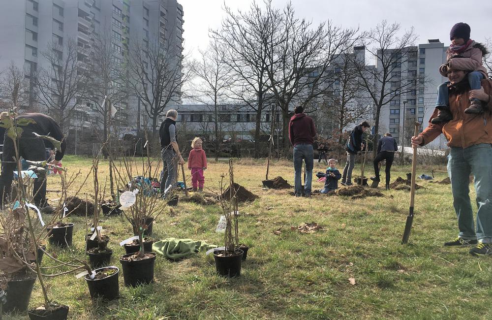 planting trees